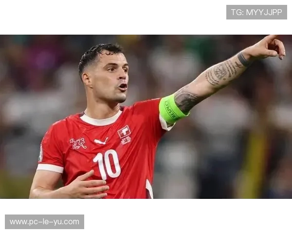 老将扎卡的英超第二春：转会桑德兰后成中场节拍器