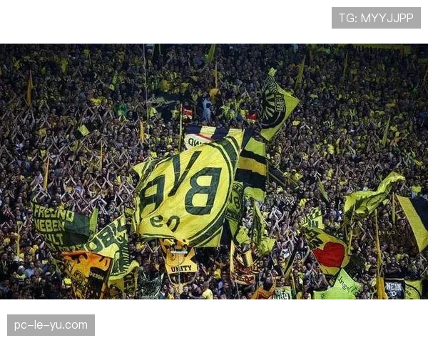 多特蒙德主场扩建完成，容纳更多球迷