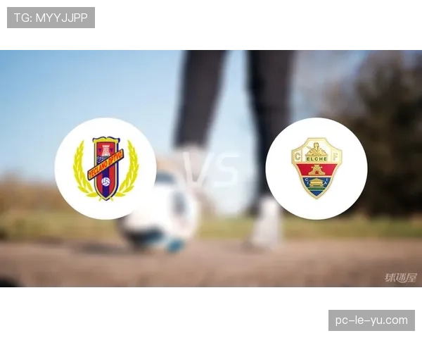 埃尔切主场气势如虹,球迷营造热烈氛围 埃尔切主场气势如虹,球迷营造热烈氛围